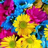 508 words9.1_rowtechapk.com