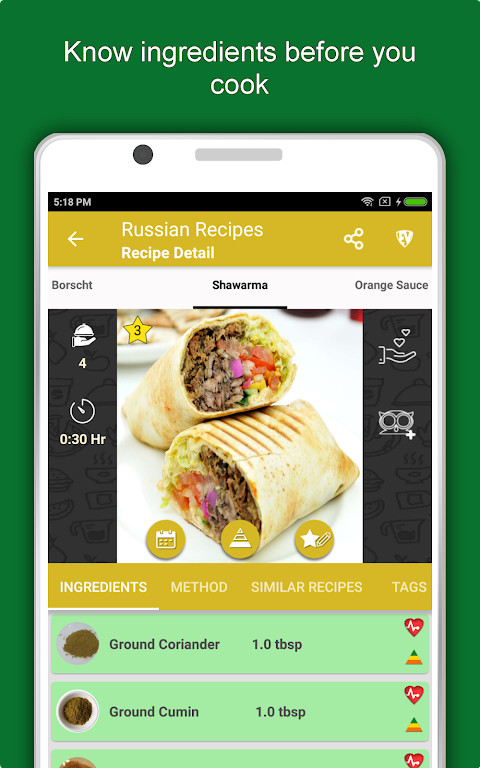 Russian Food Recipes Offline screenshot image 8_Popularmodapk.com