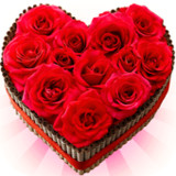 Flowers Stickers for WhatsApp1.3_rowtechapk.com