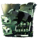 Panda Forest Launcher Theme2.1_rowtechapk.com