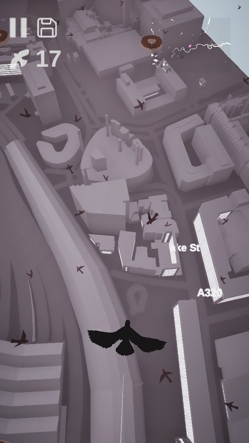 Pigeon: A Love Story(all contents for free) screenshot image 19_Popularmodapk.com