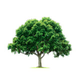 Newcastle FWBC44.0.0_rowtechapk.com