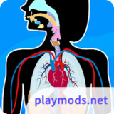 Human Anatomy - Body parts<span>(No Ads)</span>2024.3.0_rowtechapk.com