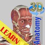 3D Bones and Organs (Anatomy)5.5_rowtechapk.com
