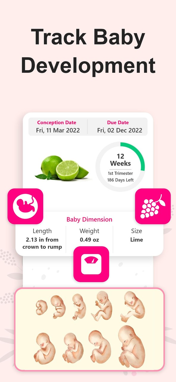 Pregnancy Calculator, Calendar screenshot image 4_Popularmodapk.com