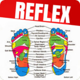 Foot Reflexology1.40_rowtechapk.com