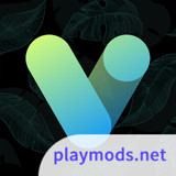 Vera Icon Pack: shapeless icon<span>(Full Version)</span>6.0.2_rowtechapk.com