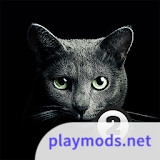 Find a cat 2<span>(No Ads)</span>1.6.0_rowtechapk.com