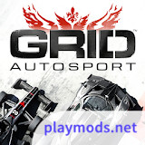 GRID™ Autosport<span>(Free Download)</span>1.9.4RC1_rowtechapk.com