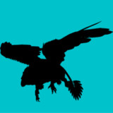 ARK Quiz10.15.2_rowtechapk.com