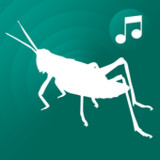 ringtones crickets for phone1.26_rowtechapk.com