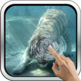 Underwater Tiger11.0_rowtechapk.com