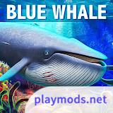 Blue Whale Simulator - Game<span>(Unlimited Resources)</span>1.1.8_rowtechapk.com