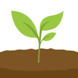 Avocado Habit0.1.1_rowtechapk.com