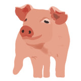 My Piggery Manager - Farm app1.3.6_rowtechapk.com