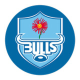 Blue Bulls1.1.1_rowtechapk.com
