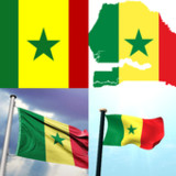Senegal Flag Wallpaper: Flags 1.0.20_rowtechapk.com