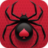 Spider Solitaire Classic1.3.8_rowtechapk.com