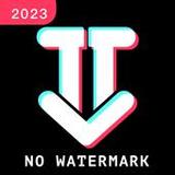 Download Tiktok no watermark1.0.5_rowtechapk.com