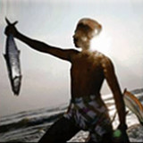 FFMA5.2_rowtechapk.com