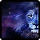 Guess Animal Face10.4.2_rowtechapk.com