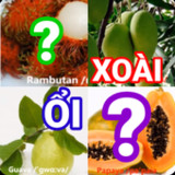 đoán tên trái cây tiếng việt10.15.1_rowtechapk.com