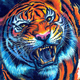 tiger background1.1_rowtechapk.com