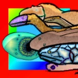 Animal Evolution2.22_rowtechapk.com