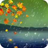 Rain HD Wallpaper1.13_rowtechapk.com