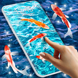Fish 4K HD Koi Live Pond 3D6.9.3_rowtechapk.com