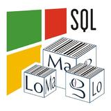 LoMag Warehouse online + MSSQL1.3.32_rowtechapk.com