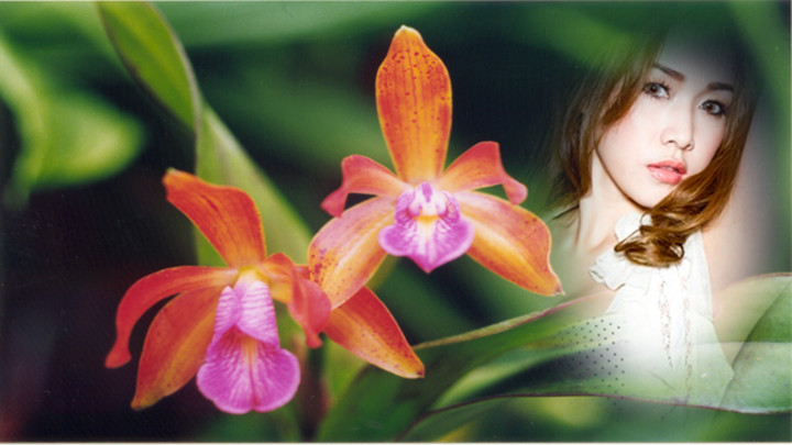 orchid photo frames costume montage editor screenshot image 1_Popularmodapk.com