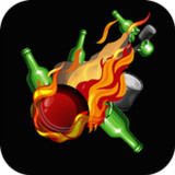 Can & Bottle Knockdown0.21_rowtechapk.com