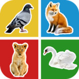 Kids Words | Animals Flashcard0.7.63_rowtechapk.com