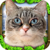 Stray Cat Simulator<span>(Paid for free)</span>1.0.4_rowtechapk.com
