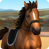 Horse World  Show Jumping(Unlock all horses)3.4.3016_rowtechapk.com