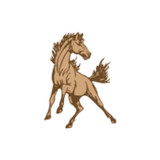 Capay Elementary2.2.0_rowtechapk.com