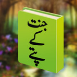 Jannat Ke Pattay Novel 20224.0.1_rowtechapk.com