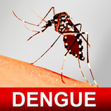 Dengue Fever Cure & Foods Diet2.5_rowtechapk.com