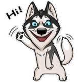 Cute Husky Stickers WAStickers1.0.0_rowtechapk.com