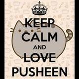 Pusheen Cat Wallpapers HD1.0.0_rowtechapk.com
