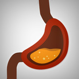 Healthy Digestion Foods Metabolism Nutrition Diet2.7_rowtechapk.com