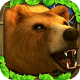 Wildlife Simulator: Bear<span>(Mod APK)</span>1_rowtechapk.com