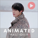 YangYang Animated WASticker1.1_rowtechapk.com