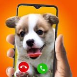 InCall Caller2.0.1_rowtechapk.com