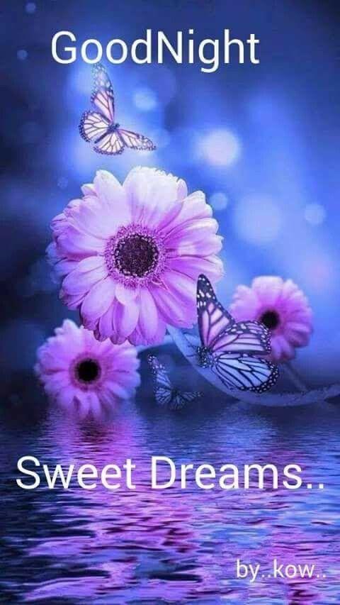 Good Morning & Good Night 2023 screenshot image 10_Popularmodapk.com