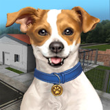 Animal Shelter Simulator<span>(No Ads)</span>1.368_rowtechapk.com