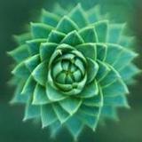 7000 words6.1_rowtechapk.com