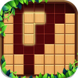 Block Puzzle - Wood Game1.0.5_rowtechapk.com