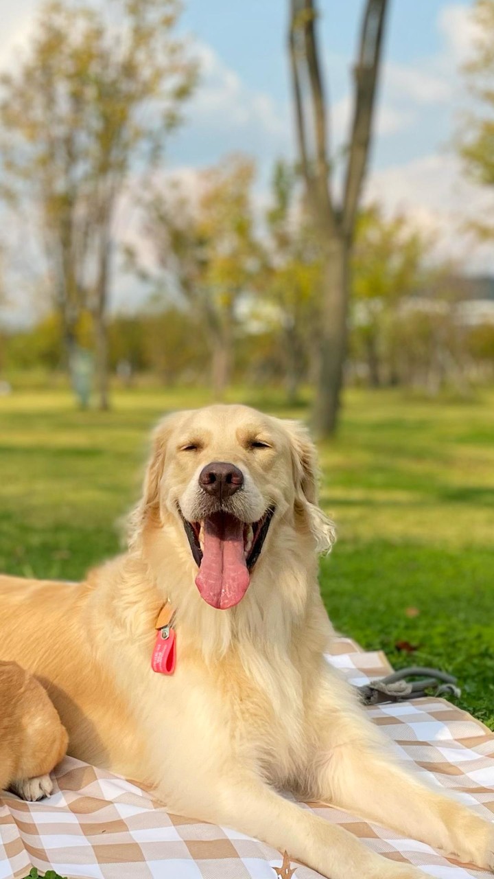 마당스페이스 screenshot image 8_Popularmodapk.com